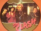 THE CLASH S/T LP PICTURE DISC UK RARE PIC DISK VINYL PUNK WHITE RIOT OI