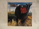 Blink 182 - Dude Ranch LP 1997 ORIG GRILLED CHEESE VN=NM CVR=NM