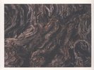 Lubomyr Melnyk - Rivers And Streams Vinyl EU LP