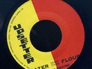 UPS1 AL & VIBRATORS-WATER MORE THAN FLOUR-UPSETTER-REGGAE 45 7