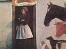 VASHTI BUNYAN-JUST ANOTHER DIAMOND DAY-VINYL LP (2)  NEU