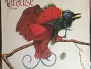 Paradise LP UK 1980 Ebony Records Soul, Funk, Boogie