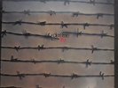 DIES IRAE first (1971)  Foldout Sleeve LP NEU OVP/Sealed