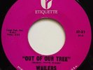 Killer NW Garage 45 WAILERS Out Of Our Tree ETIQUETTE listen