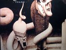 The Chameleons Tears Vinyl Single 12inch NEAR MINT Geffen Records