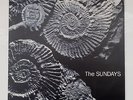 THE SUNDAYS reading, writing & arithmetic ORIG UK LP1990 Picture Disc MINT-/MINT