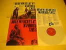 GILA - Bury My Heart At Wounded Knee -reissue of 1973 + Insert Beilage-Krautrock