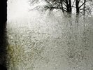 For Emma, Forever Ago - BON IVER [LP]