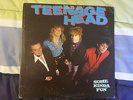 2 Teenage Head  lps  Frantic City & Some Kinda Fun   PUNK