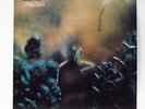 STEELY DAN Katy Lied  1980 Japan MCA issus w/ insert NM   Donald Fagen, W Becker