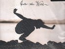EDDIE VEDDER - into the wild LP