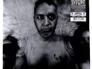 SUDDEN INFANT Wolfli's Nightmare LP +CD NEW VINYL IMPORT ELECTRO VOODOO RHYTHM