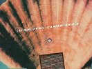 RARE - ETIENNE DAHO - picture disc -Carribbian sea  - Maxi 45 T- Edition limitée