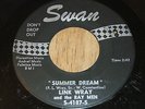 Rare Rockabilly 45, LINK WRAY and the Ray Men, Summer Dream / Deuces Wild, Swan