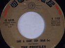 THE PROFILES: Take a Giant Step (Walk On) GOLDIE Northern Soul 45 ORIG VG++ Hear
