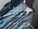 Calvin Harris-Motion Vinyl / 12