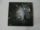 YEAH YEAH YEAHS IS IS Rare 2x7