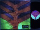 Yeah Yeah Yeahs ?– Show Your Bones / 2006 US Original Vinyl / NMINT