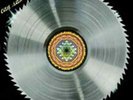 Can-Saw Delight Vinyl / 12