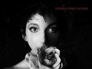 AFZLP 082 | Kate Bush - The Sensual World 180g LP oop NEU