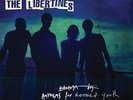 THE LIBERTINES - ANTHEMS FOR DOOMED YOUTH NEW VINYL