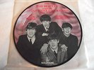 THE BEATLES   I WANT TO HOLD YOUR HAND ** PICTURE DISC 45