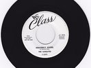 Doo Wop WLP 45 The Satellites 