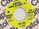 THE EVIL : Whatcha Gonna Do About It (Capitol 2038) Garage Mod Psych 45 HEAR
