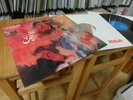 The TRIP Same 1st Press 1970 - ITALIAN PROG PSYCH 
