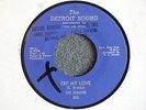 NORTHERN SOUL 45 The Sequins Try My Love The Detroit Sound 503 Mint- Hear MP3