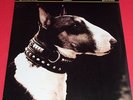 Pixies -- Here comes your man  -- MAXI / Independent / 4 Tracks / Rar