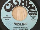  The Promissory notes Garage Punk Fuzz 45 Claw records Rhode Island