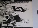 ISD NEW DAWN 1984 REBELLES RAMA OI COMBAT 84 SKINS OI BRUTAL COMBAT REMORSE SOD