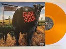Blink 182 Dude Ranch 12