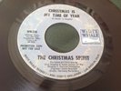 RARE White Whale CHRISTMAS SPIRIT Promo 45  Xmas Is My Time Of Year TURTLES