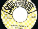DELROY WEBSTER   MARCUS PROPHECY   RARE TIP TOP ROOTS LISTEN