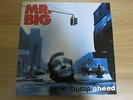 MR. BIG - Bump Ahead 1993 INSERT (Korea Vinyl LP 12