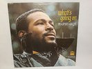 Marvin Gaye - What's Going On LP - Tamla RECORD TS310