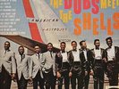  1962 ORIGINAL PRESSING OF THE DUBS MEET THE SHELLS STEREO VG++