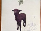 SKYHOOKS signed STRAIGHT IN A GAY WORLD LP album Shirley Strachan autographed