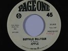 Psych 45 APPLE Buffalo Billycan/Let's Take A Trip Down The Rhine on Page One wlp