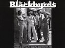 The Blackbyrds - Walking In Rhythm: The Essential Selection 1973-1980 Vinyl