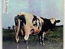 PINK FLOYD ATOM HEART MOTHER MFSL 1-202 #5121 SEALED 200g HD VINYL LP MINT-udcd