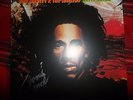 BOB MARLEY & THE WAILERS / NATTY DREAD / LP VINYL