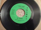 GARAGE The Tropics I Want More Florida rocker on Knight  mp3
