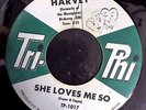 Harvey * She Loves Me So/Any Way..Tri-Phi  1017 Mint wol