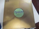 GORDON ROSE Look at the Look LP GENERATION GAP private psych folk weird VG++
