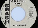 Rare Garage 45 THE HALLMARKS 