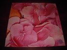 STILL LIFE S/T 1971 ORIG UK SWIRL VERTIGO PSYCH PROG MONSTER EX+ CONDITION