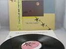 KAZU MATSUI PROJECT - 